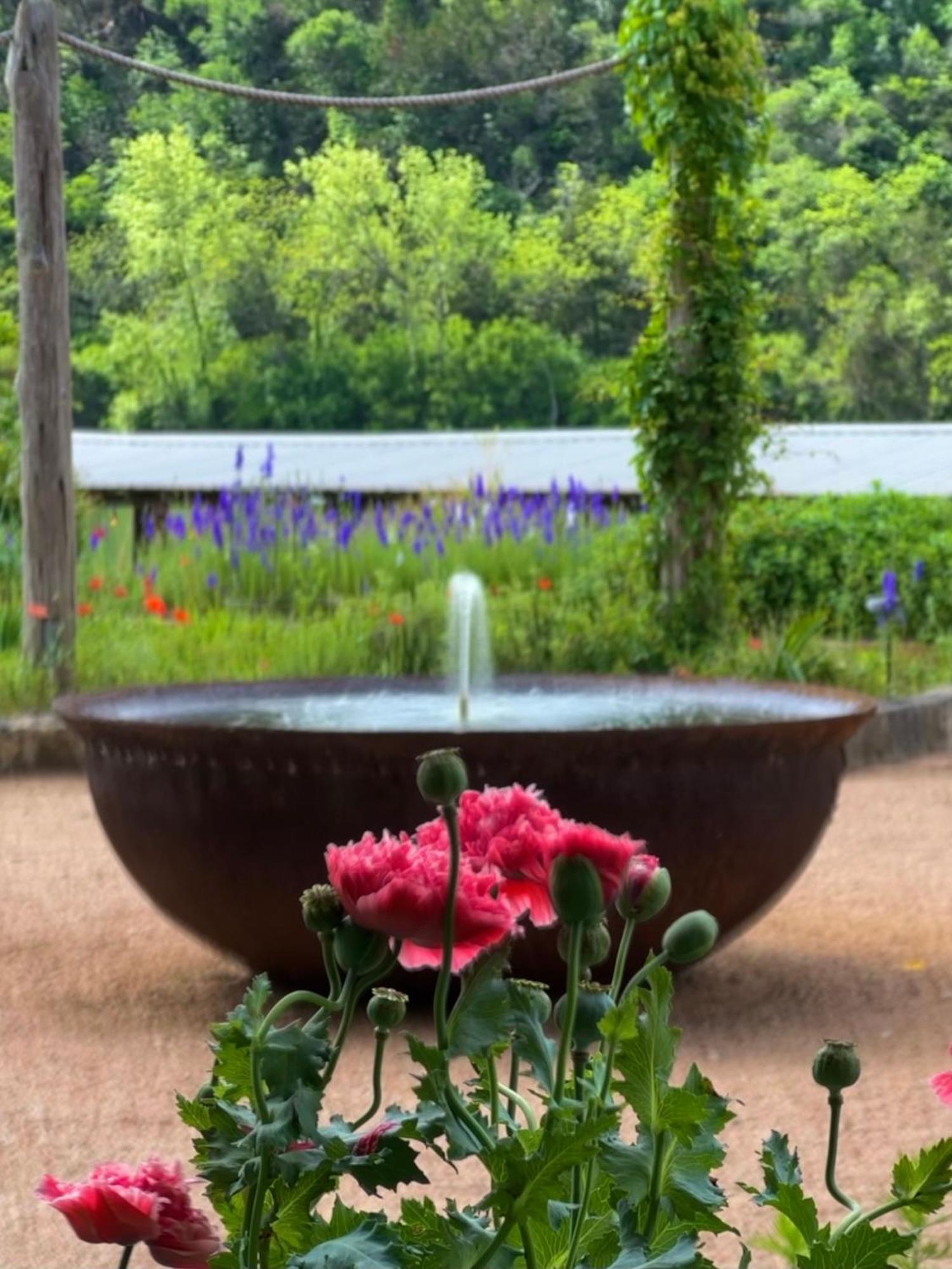 Lake Austin Spa Resort Dış mekan fotoğraf