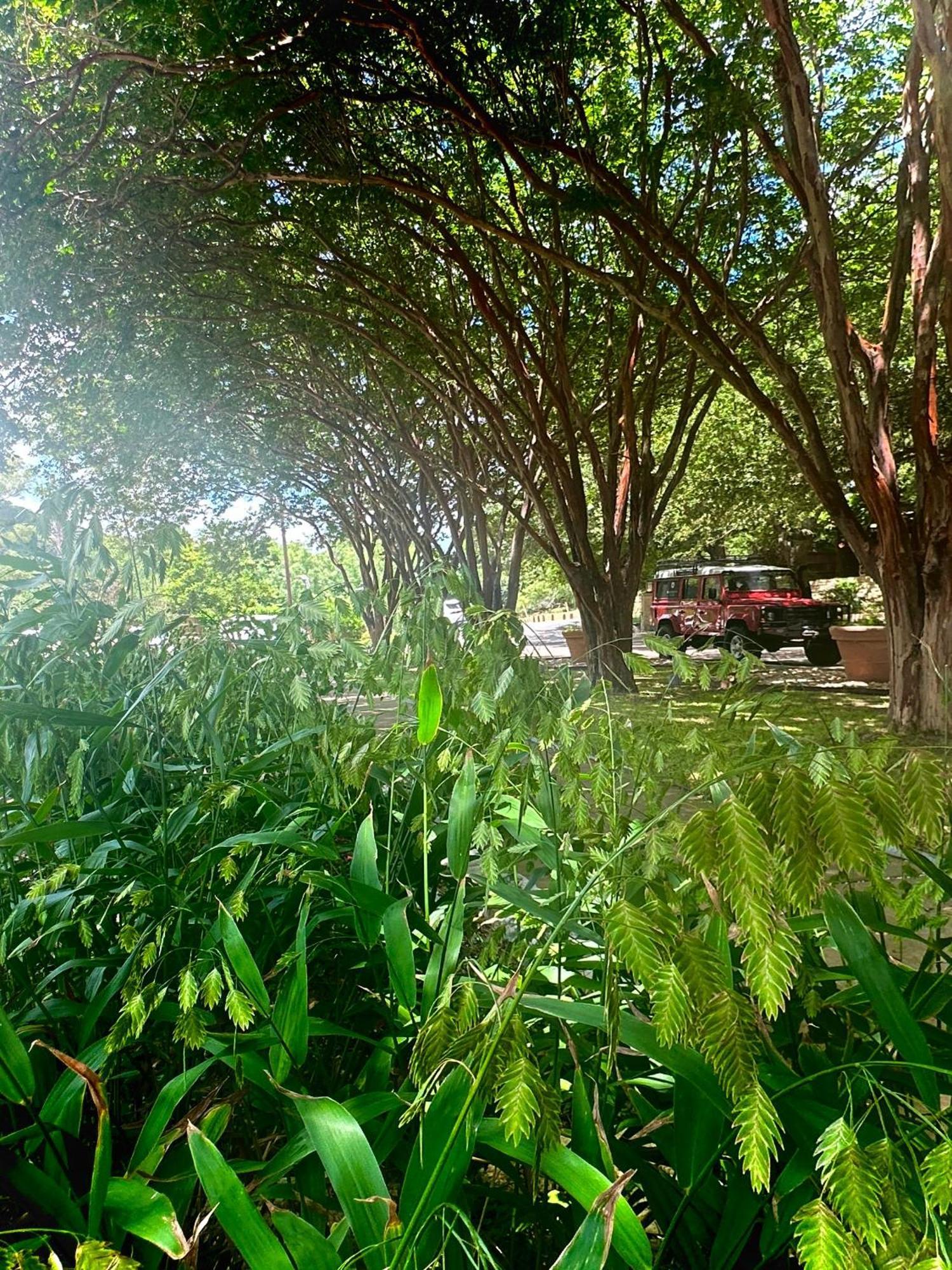 Lake Austin Spa Resort Dış mekan fotoğraf