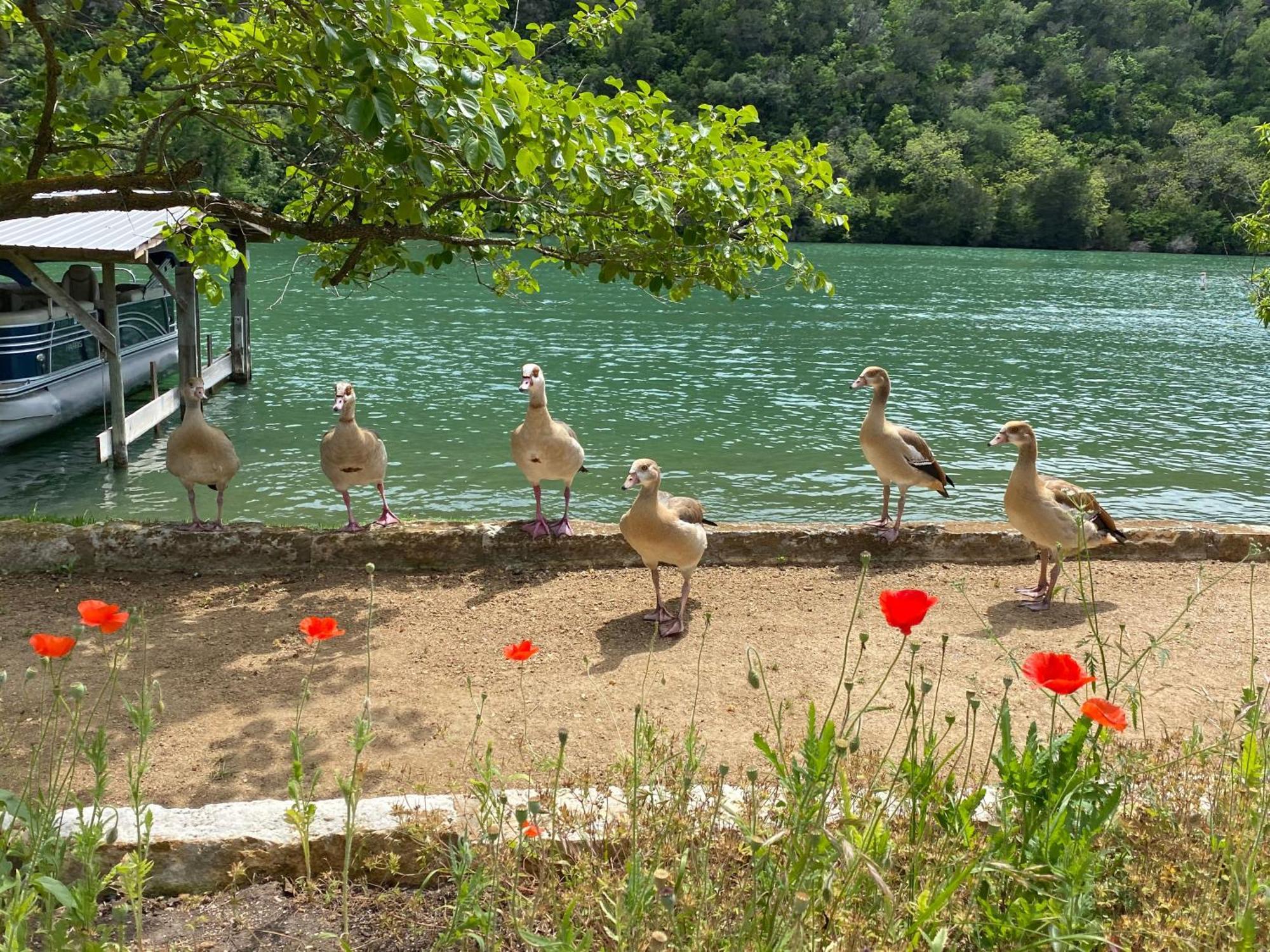 Lake Austin Spa Resort Dış mekan fotoğraf